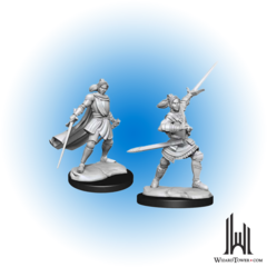 Critical Role Unpainted Miniatures: Half-Elf Paladin Xhorhas